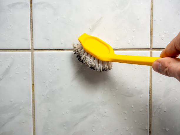 Best Insurance-Related Mold Remediation in Elton, LA
