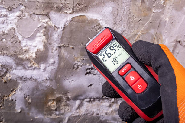 Best Crawl Space Mold Remediation in Elton, LA